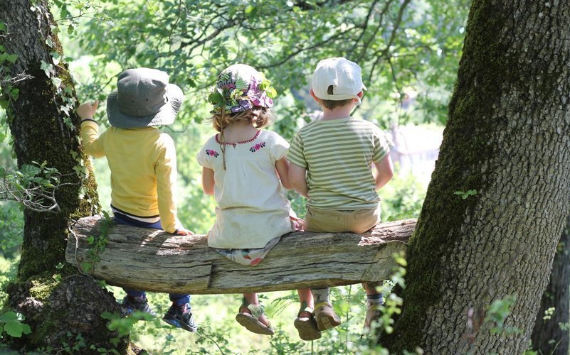 On vous explique les grandes lignes de la « pédagogie par la nature »