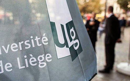 Survol d'un examen du TFLF (Université de Liège)